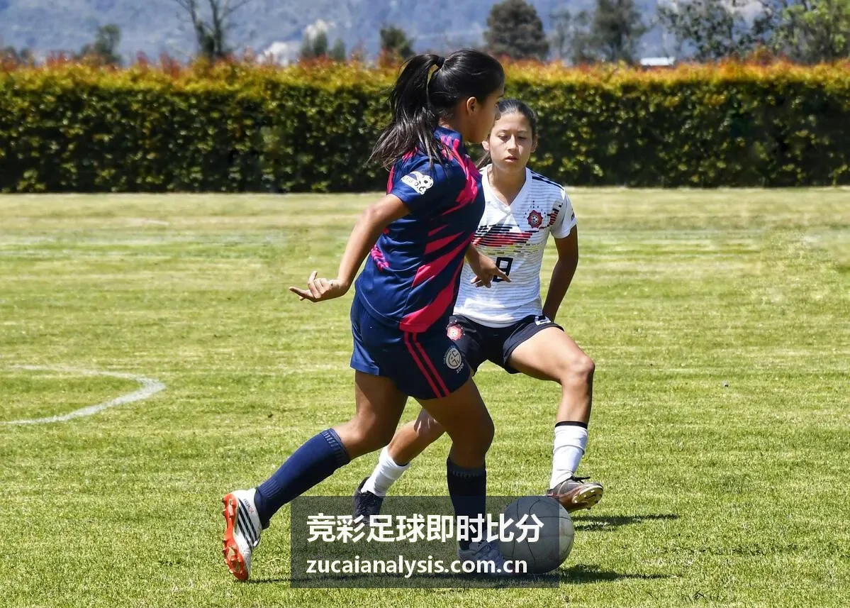 竞彩足球即时比分赛事数据分析模块