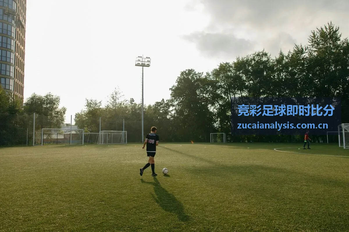 竞彩足球即时比分指数分析模块